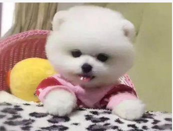 �������ۡ���Ʒ���ֲ���Ȯ���������һ�˿Ͱ�ȫ����