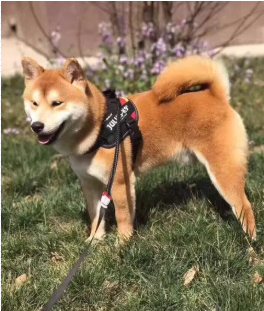 ���귱ֳ���ʲ�Ȯ��Ȯ