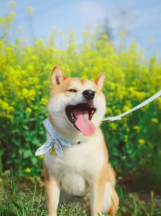 ���귱ֳ���ʲ�Ȯ��Ȯ